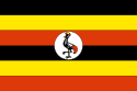 Drapeau Algérien