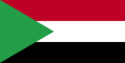 Drapeau Algérien